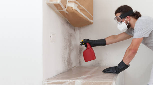 Professional Attic Mold Remediation technician working in Worcester, PA