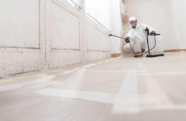 24/7 Emergency Attic Mold Remediation experts in Worcester, PA